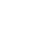 megawebd